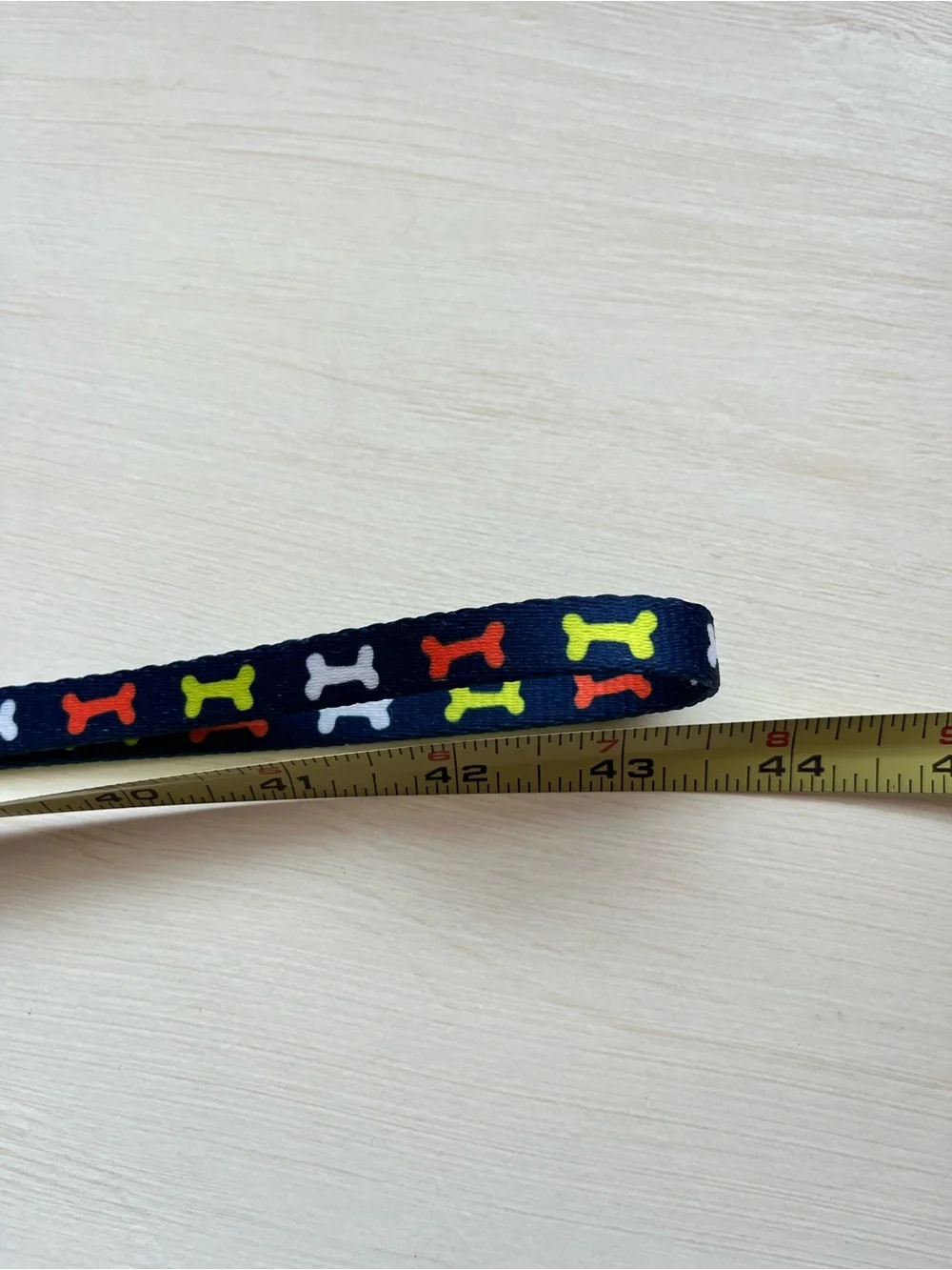 Small Dog Collar and Leash
